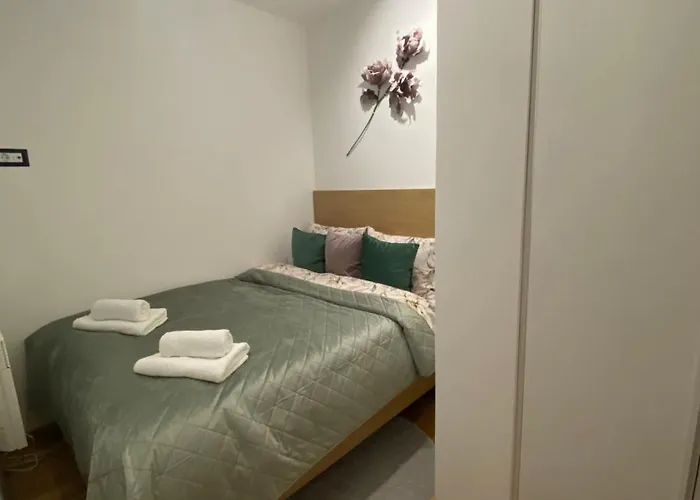 Zlatni Pogled Zlatibor